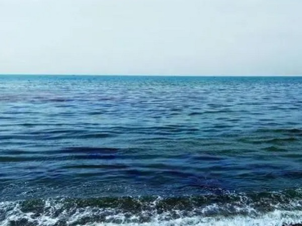 日本核廢水將排海-影響何以估量？